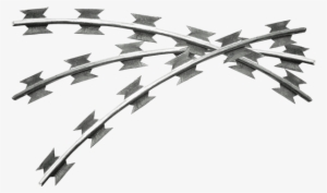 Concertina Wire Site Security - Concertina Wire #706631 Concertina Wire Site Security - Concertina Wire #706631