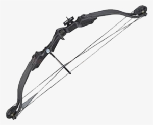 25 Lb Compound Bow Archery Set Black - Arrow #709171