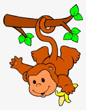 Hanging Monkey Cartoon #709462
