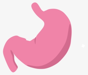 Open - Stomach Icon #709649