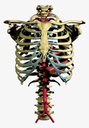 Project Image - Project #709972