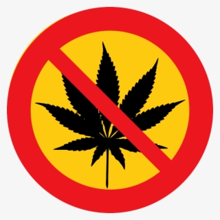 Cannabis Addiction Is Linked To Higher Levels Of Cortisol #7000575
