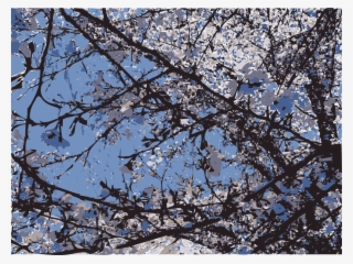 Computer Icons Vector Magic Cherry Blossom St #7001335