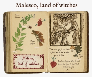 Witches Png #7003134
