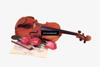 Violin And Bow #7003392