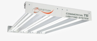 Quantum Massive Reflector #7006108