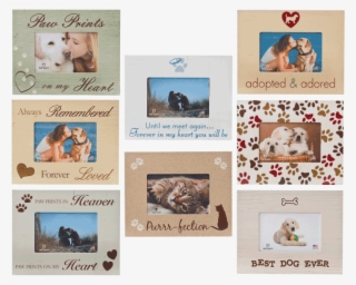 Small Frame Assortment #7008914 Small Frame Assortment #7008914