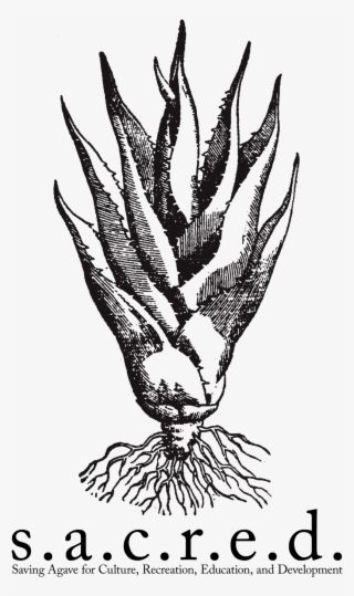 Sacred Logo Tall #7009699