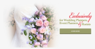 If You Want To Bring A Wow Factor To Your Next Event, #7011203