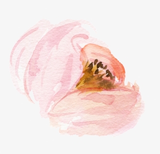Acuarela Flor Png #7012190