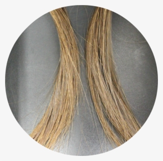 We Have Discovered Proprietary Biomolecule That Binds #7012919