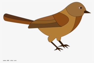 Birdie Raster Picturet #7013541