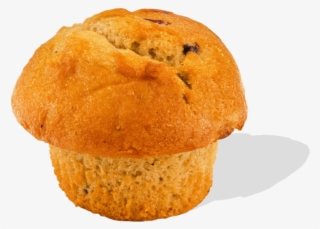 Blueberry Mega Muffin #7017008