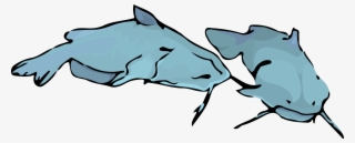 Channel-catfish #7020914