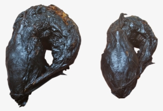 Catfish 2 In1 #7021017