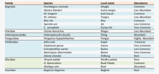 List Of Freshwater Catfish Species Reported During #7021620