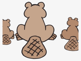 Beaver Png #7023969