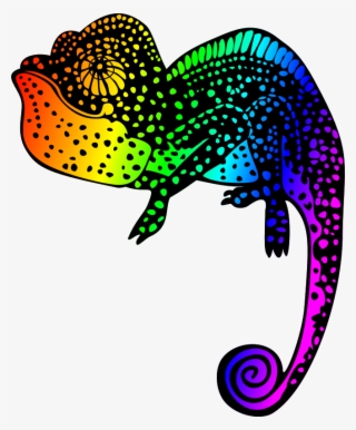 Chameleon #7026044 Chameleon #7026044