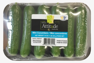 English And Mini Cucumbers #7026470