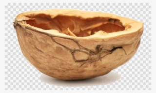 Nutshell Png Clipart Youtuber #7026901