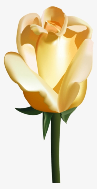 Free Png Yellow Rose Png Images Transparent #7028648