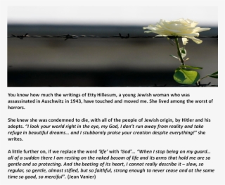 28 Jan 2012 #7029628