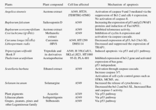Summary Of The Molecular Mechanism Of Medicinal Herbs #7030390
