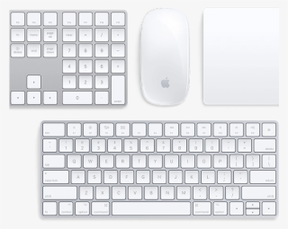 Apple Imac Comes With The Magic Keyboard That's Specifically #7033663