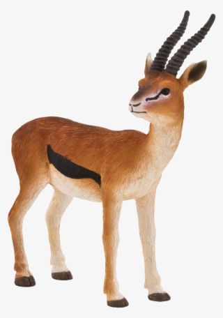 Mojo Thomson Gazelle Png Mojo Thomsons Gazelle Fun #7036792 Mojo Thomson Gazelle Png Mojo Thomsons Gazelle Fun #7036792