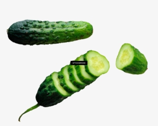 Cucumbers Cucumber #7036869