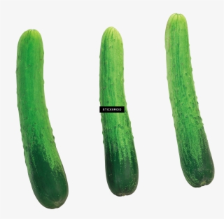Cucumber #7037306