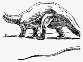 Stegosaurus Clipart Brontosaurus #7038175