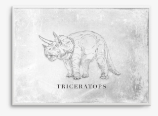 Triceratops Ls #7041081