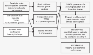 Key Steps In Evaluating The Effect Of Stocking Rate #7041553