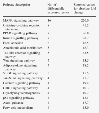 Signalling Pathways After Acute Exercise In Descend- #7041938