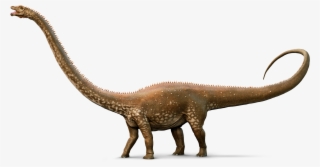 Diplodocus Png Picture #7042692