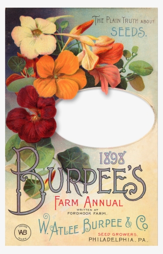 Wings Of Whimsy #7043942