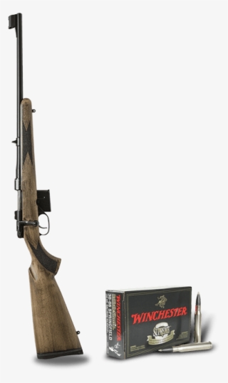 Home Hunting Rifle Ammo #7045229