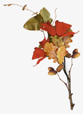 Enchanted, Leaf Flowers, Fall Plants, Polyvore Fashion, #7045562 Enchanted, Leaf Flowers, Fall Plants, Polyvore Fashion, #7045562