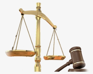 Metro Detroit Michigan Bankruptcy Lawyer Attorney Chapter #7045712