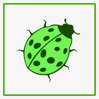 Beetle Icon #7047206