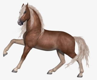 Cheval 2 #7048069