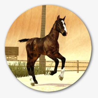 Bild #7048197