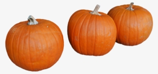 Pumkin Png #7048338