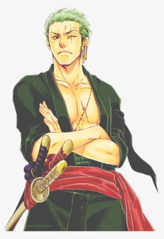 Tumblr Zoro One Piece, One Piece Anime, Roronoa Zoro, #7049624