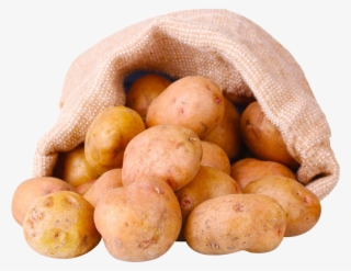 Potato Png Image #7050159