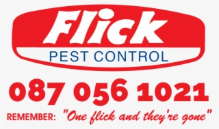 Termite Png #7050345