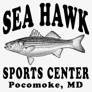 Sea Hawk Sports Center #7050413