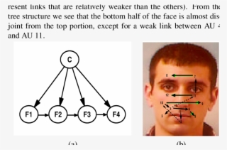 An Example Of A Tan Classifier #7054269