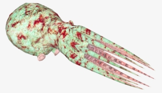 Caribbean Reef Octopus 8 #7055702